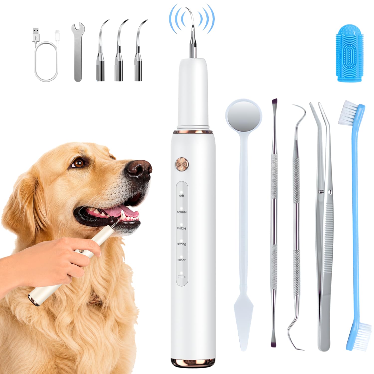 Minffimiw T4 Ultrasonic Tartar Remover
