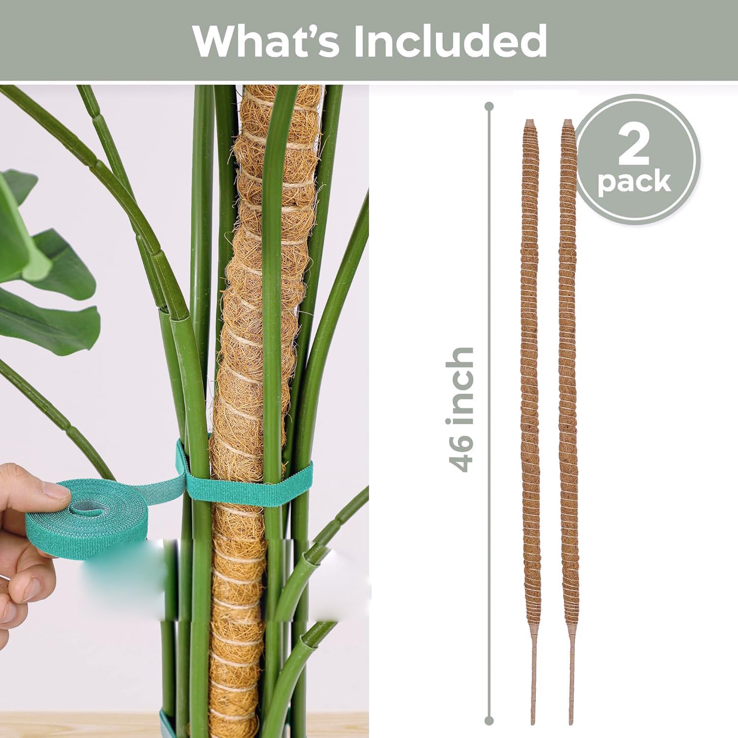 Moss Pole for Monstera,2 Pack 25 In/48 In Plant Supports for Indoor Plants,Bendable Plant Stakes Moss Poles for Potted Indoor Climbing Plants (120cm+120cm) - Image 2