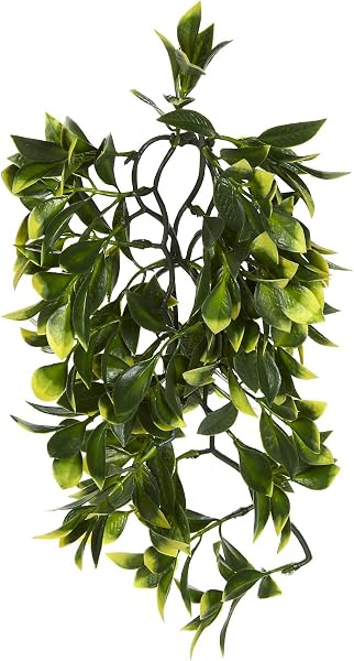 Exo Terra Plante de terrarium en plastique Croton Taille S - 2