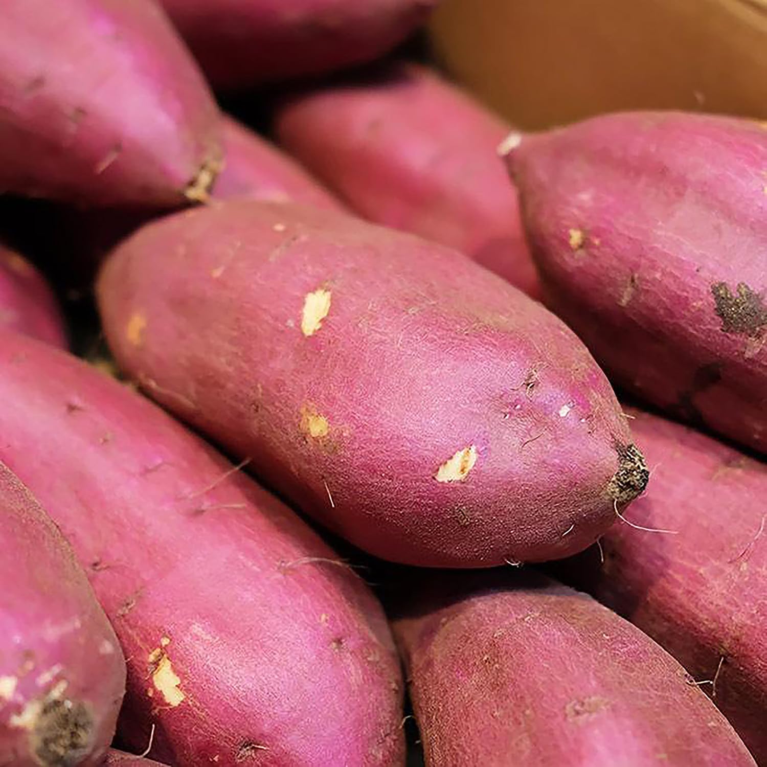 Amazon.co.jp: さつまいも 紅はるか 規格外 約5kg 産地箱 訳あり 大き