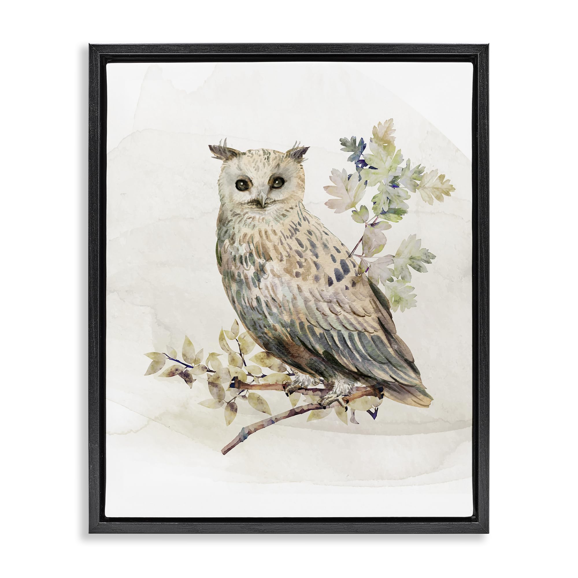 Stupell Industries 'Forest Owl with Foliage', Floating Frame Canvas Art, Black, 25 x 31 Inches, Easy to Hang and Sturdy, Made in USA, by CAD Designs