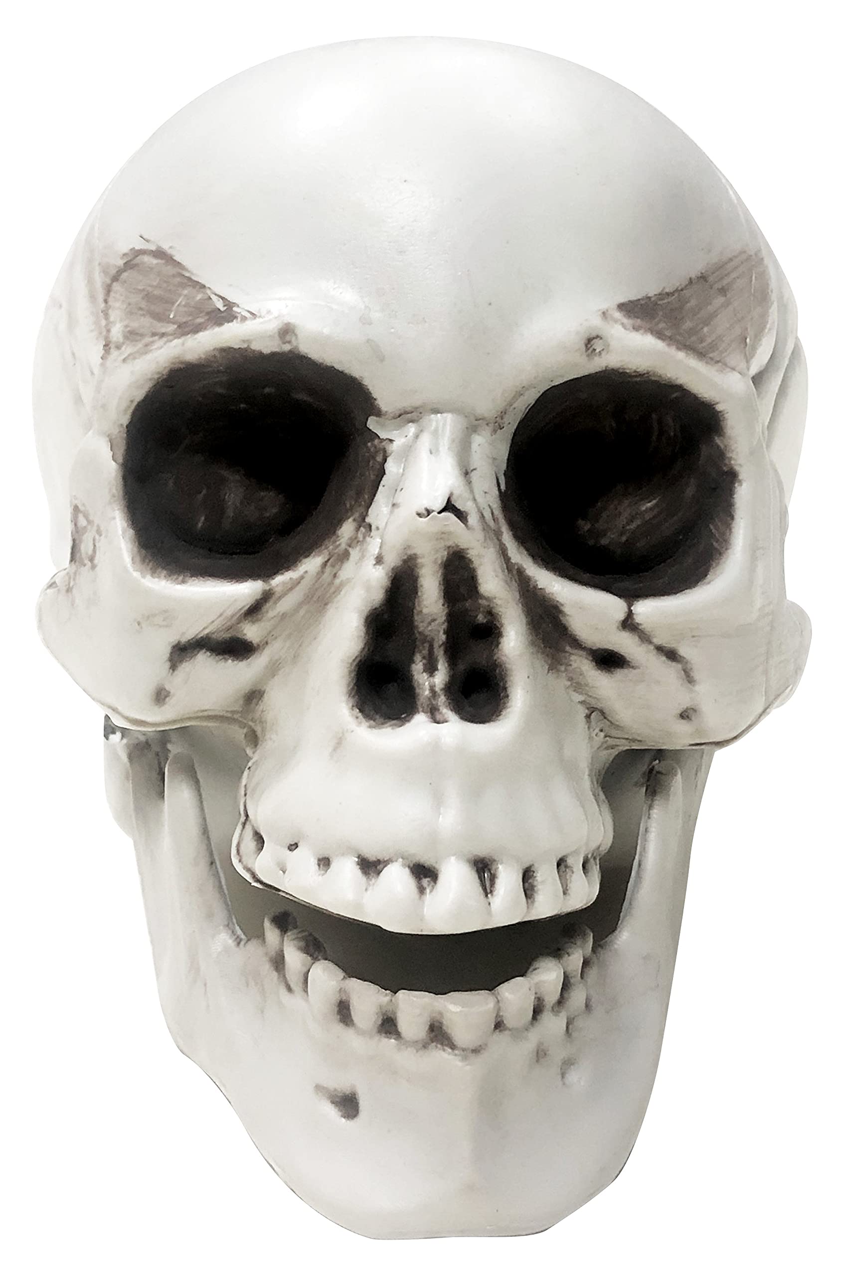 Party MagicMini Skulls 3Pc - Halloween