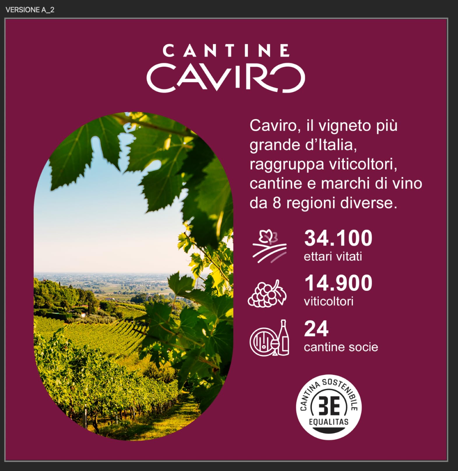 Brumale Vino Trebbiano di Romagna DOC, Vino Fresco e Minerale dai Profumi Fruttati e Floreali, 12% Vol, Confezione con 6 Bottiglie da 750 ml