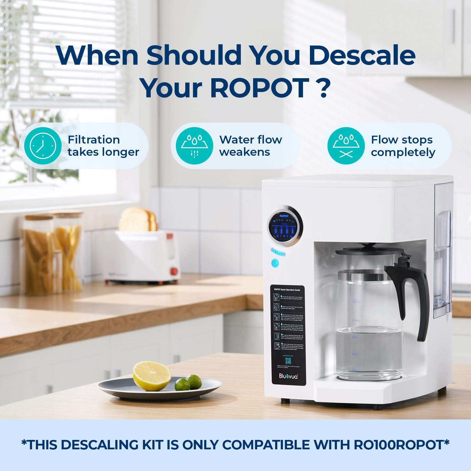 Image showing a Bluevua ROPOT system with indicators for when to descale: filtration takes longer, water flow weakens, flow stops completely.