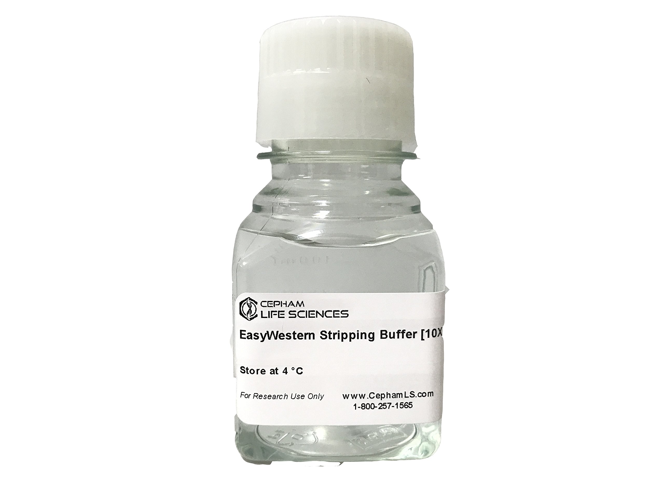 EasyWestern Stripping Buffer - 125 ml -from Cepham Life Sciences