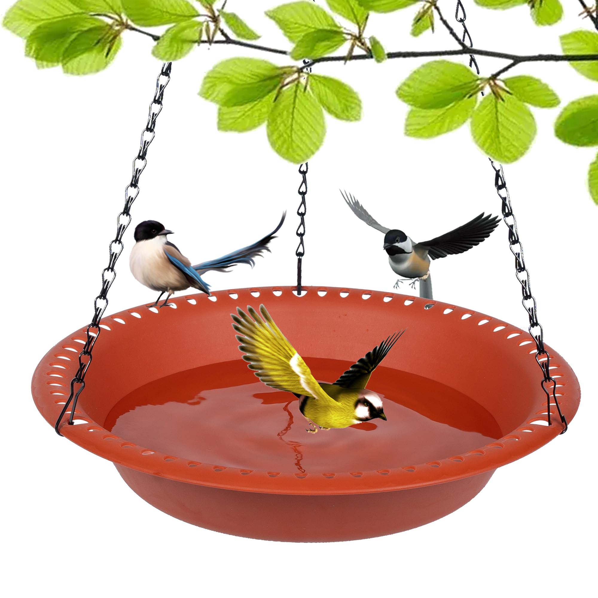 Amazon.com: Afrine Hanging Bird Bath with 21" Chain - Deep Birdbath ...