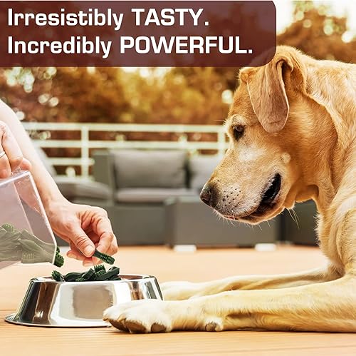 Miniatura 10 de UrbanX HealthyBones - Mini masticables saludables de carne de res sin cuero crudo para perro francés y otros perros deportivos médicos, excelentes