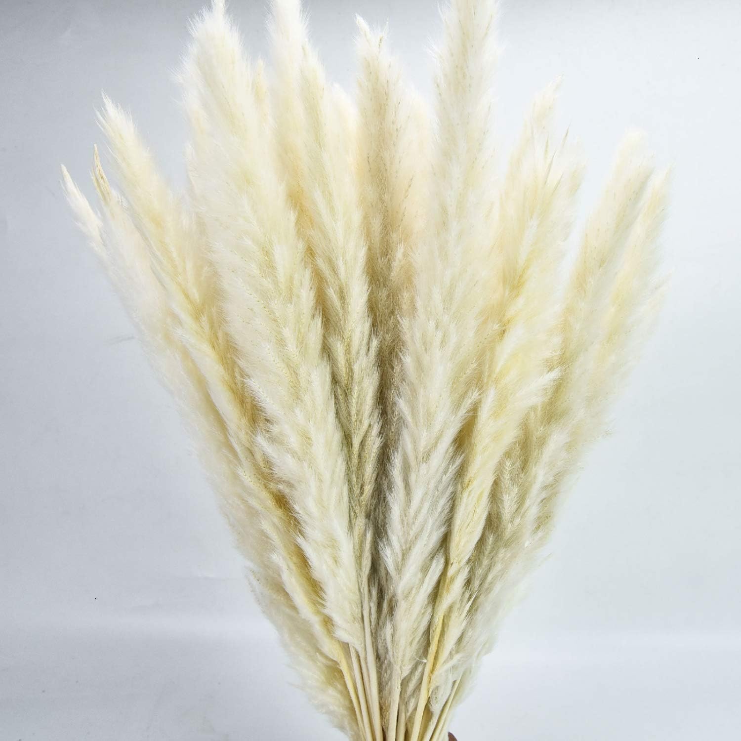 60PCS Pampas Grass, Natural Pampas Grass Dried Reed Plumes for Wedding Decor, Flower Arrangement, Home Decor (Light Yellow)