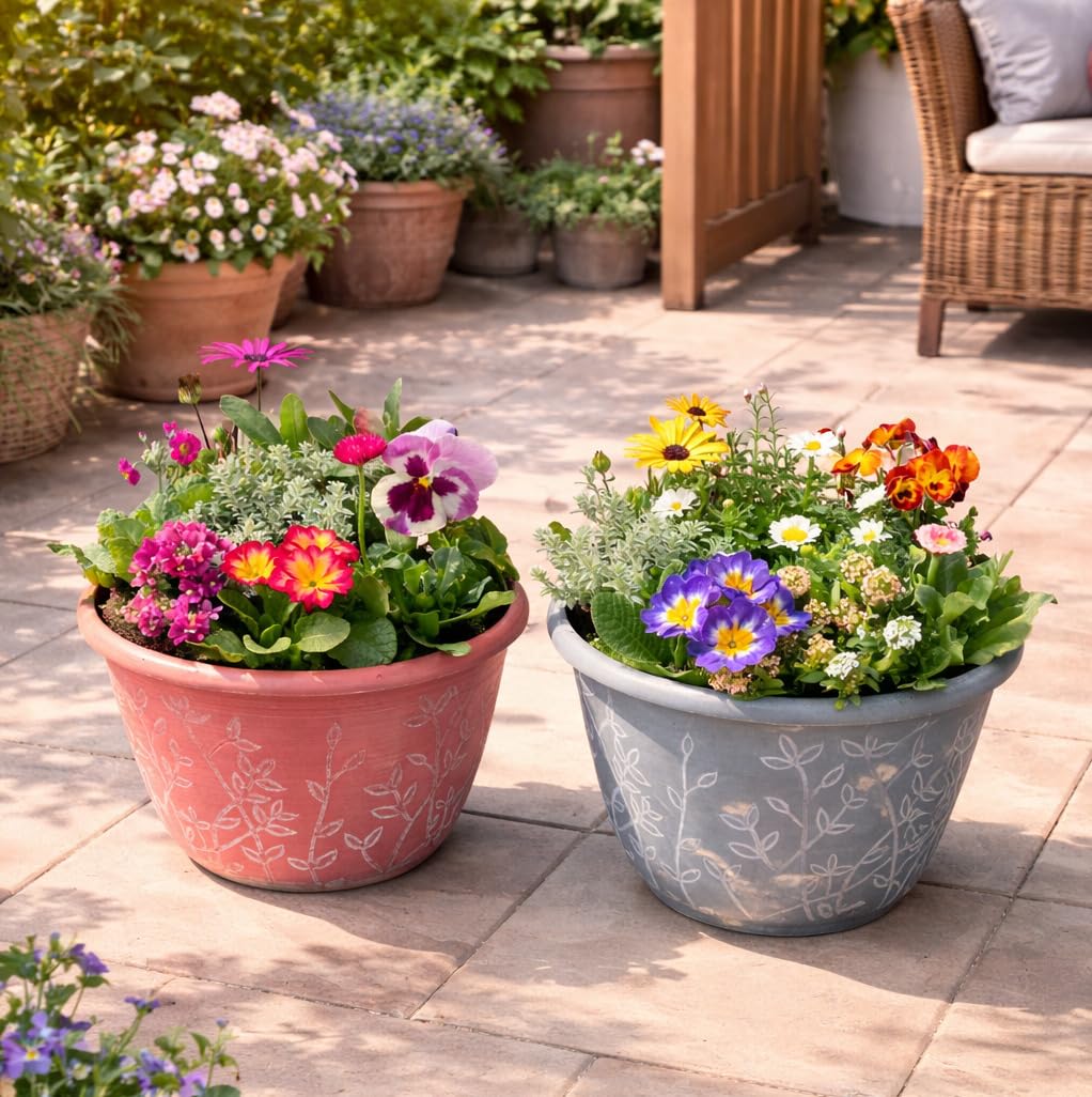 Amazon.co.jp: 花＊花Gluckはなはなぐりゅっけ 季節の寄せ植え リーフ