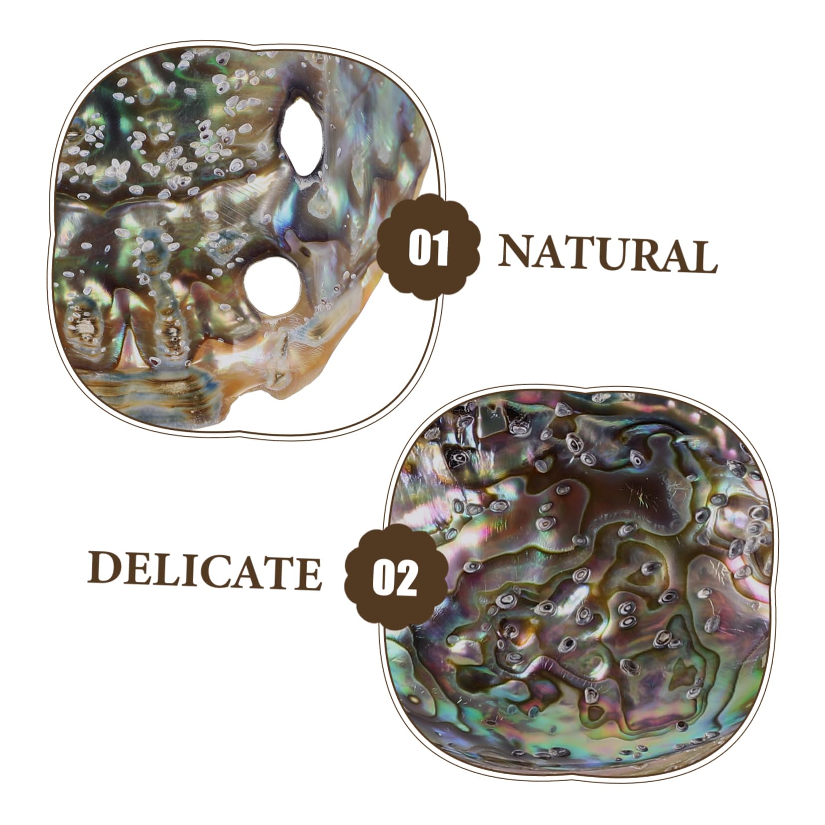 Veemoon Abalone-Meeresmuschel Accessoires,Große Abalone-Schale Für Hochzeit- Heimdekorationen DIY Decorative Accessoires Party