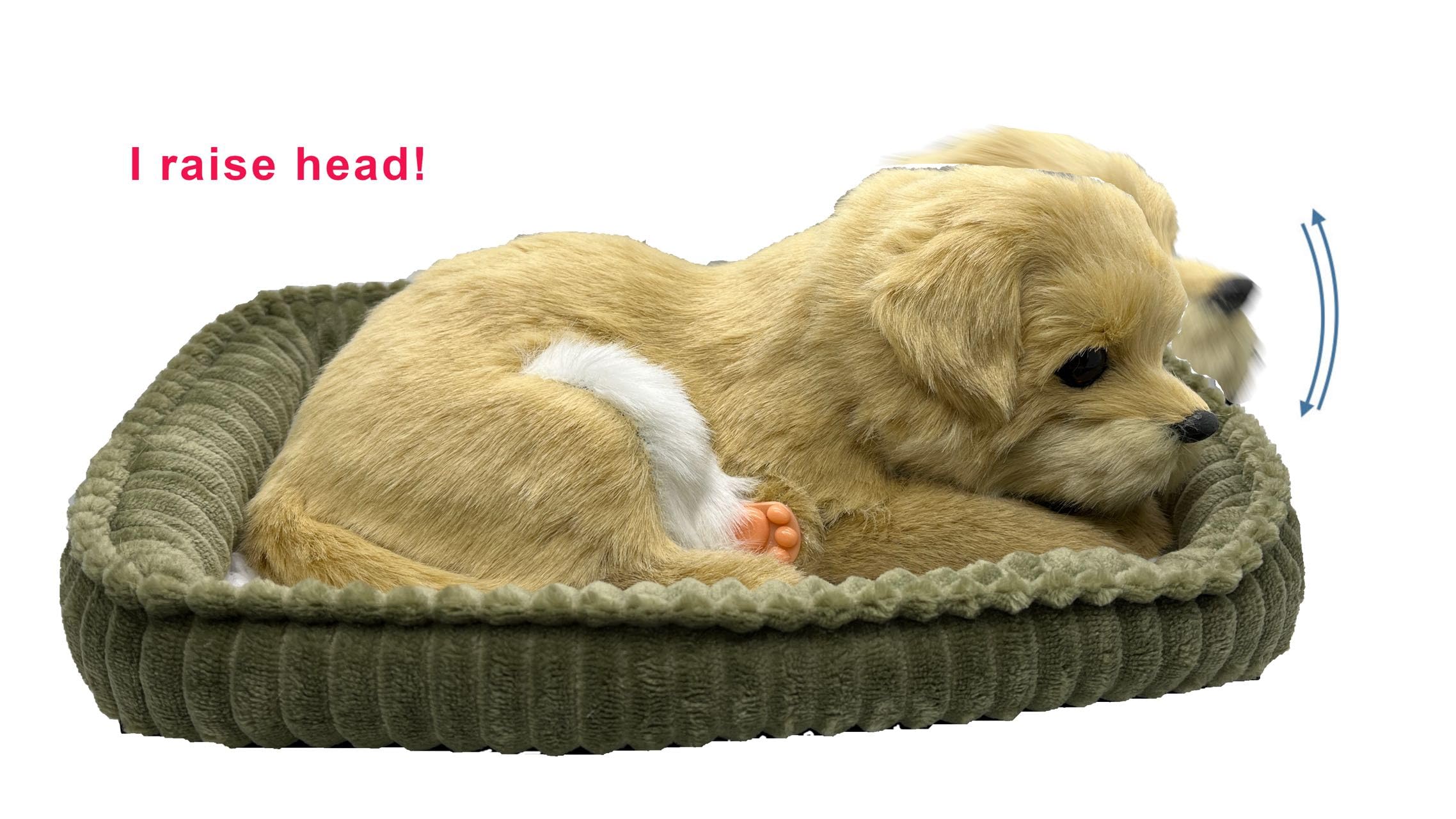 PawFection Pets Golden Retriever Dog, Realistic, Lifelike Stuffed Interactive Nodding Pet Toy, Companion Pet Puppy with 100% Handcrafted Synthetic Fur - Image 5