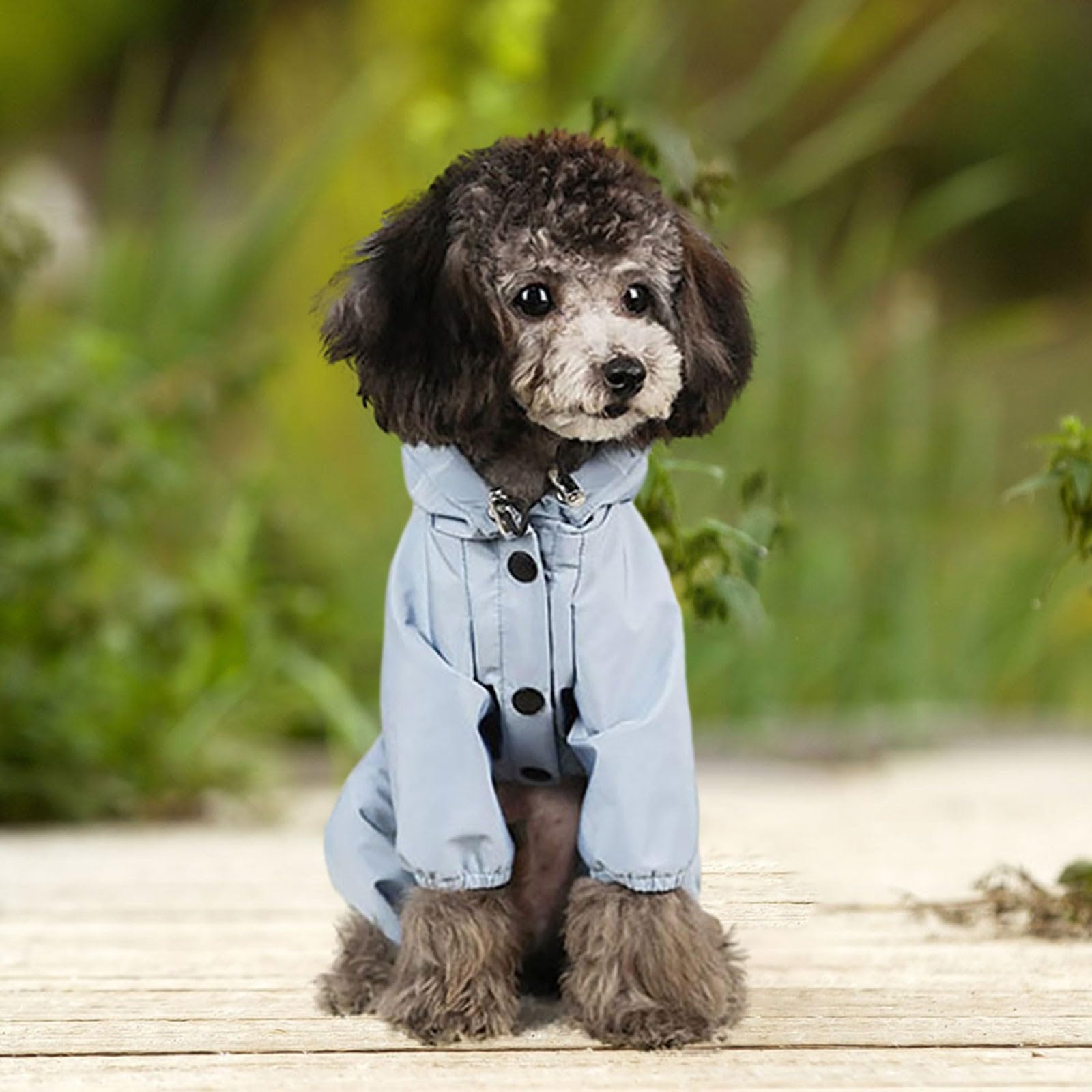 Wendbarer Hunde-Regenmantel Mit Kapuze – Wasserdichter Poncho Mit Leinenloch (Größe M)