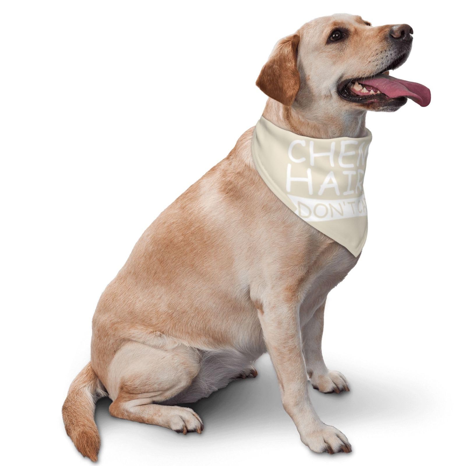 Chemo Hair Don't Care Leiomyosarcoma Dog Scarf Pet Bandana Cat Pet Bibs