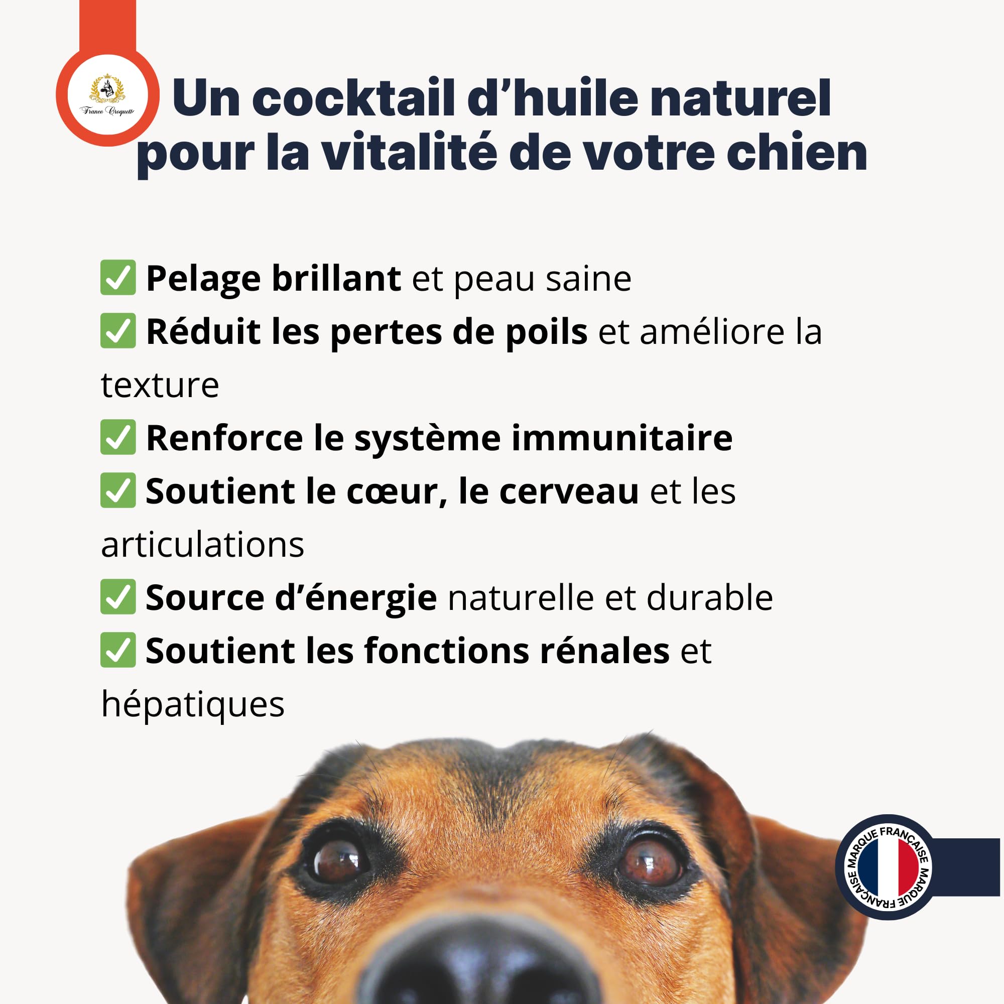 double oméga huile de foie de morue et saumon pour chien – oméga 3 et 6 naturels – vitalité immunité articulations cerveau pelage brillant – complément alimentaire huile 500 ml
