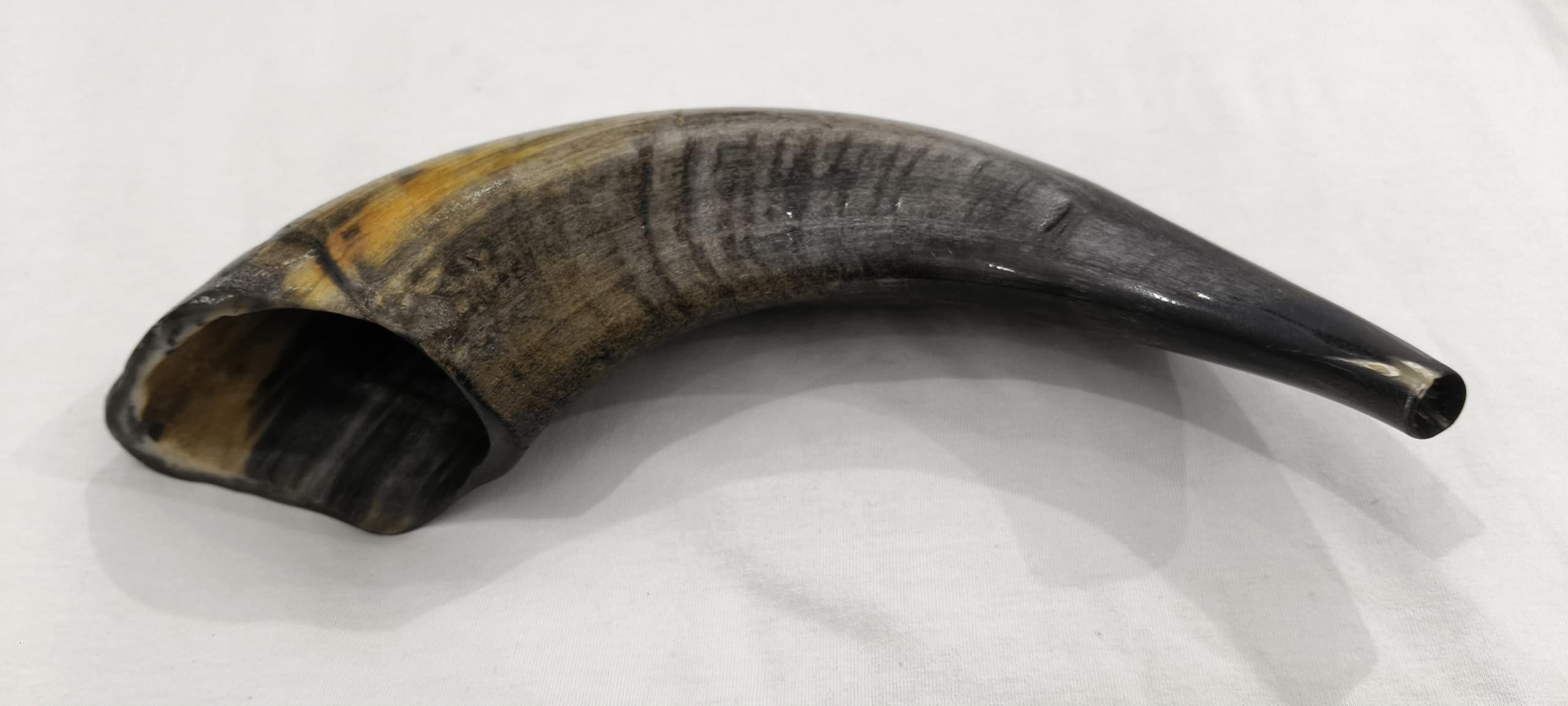 Genetric Handmade Natural Shofar Horn Bugle Natural Polished Sheep Tuneble Musical Instrument Horn Bugle (12