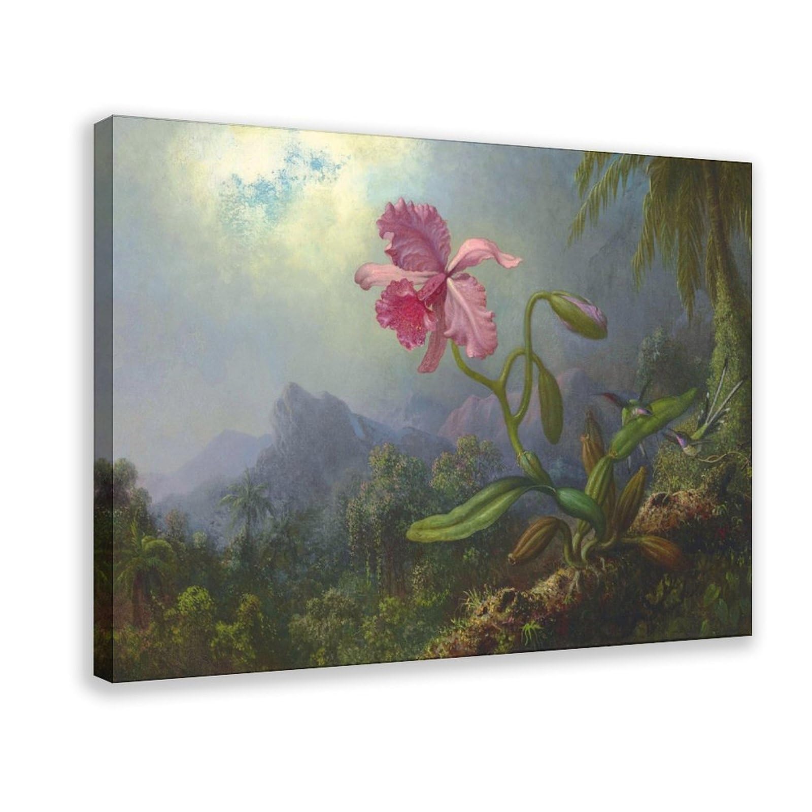 Dfjyjfgjj Men's Martin Johnson Heade,Two Hummingbirds With An Orchid Poster Print For Teen Boys Room Wall Art Canvas Painting 12" L X 18" W
