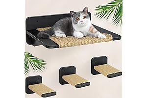 Cat Wall Hammock: A Cozy Retreat and Playground for Your Feline Companion