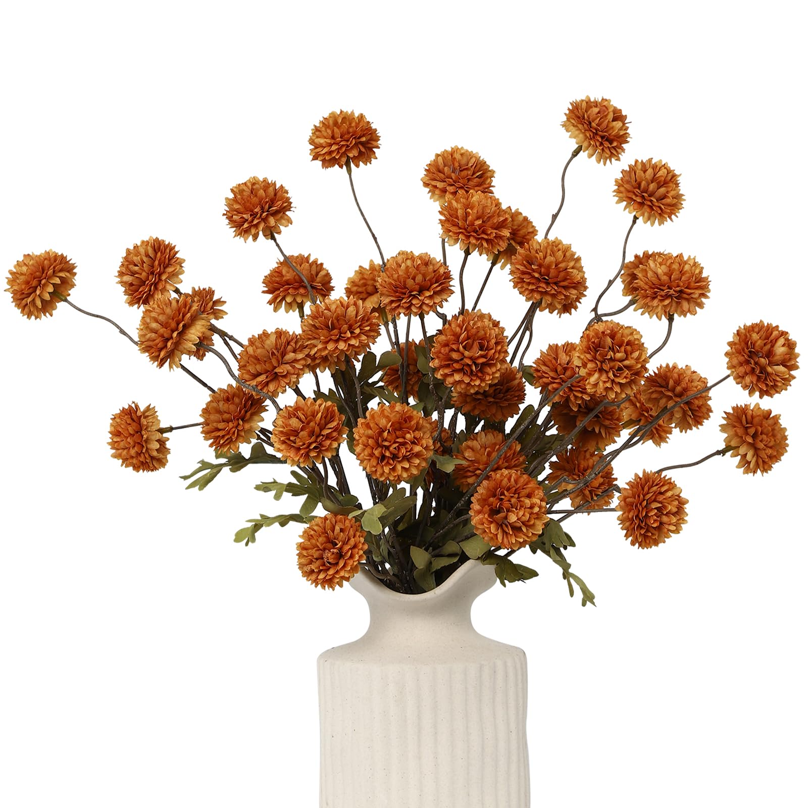 DuHouse 6pcs Pompon Mum