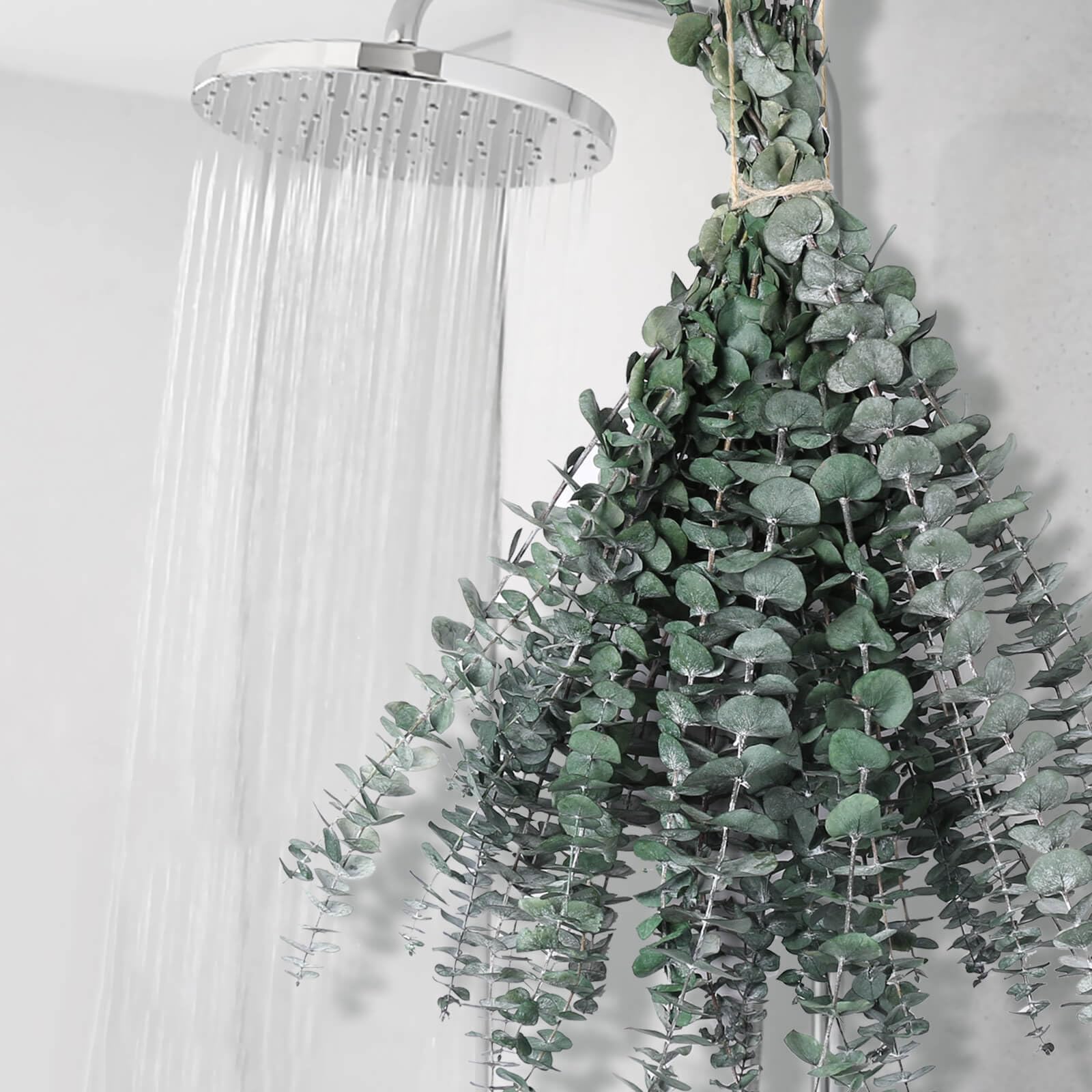12 PCS Dried Eucalyptus Stems for Shower - 17" Preserved Eucalyptus Stems Shower Plant, Fresh Real Eucalyptus Leaves for Shower Hanging, Home Decor, Dried Flowers