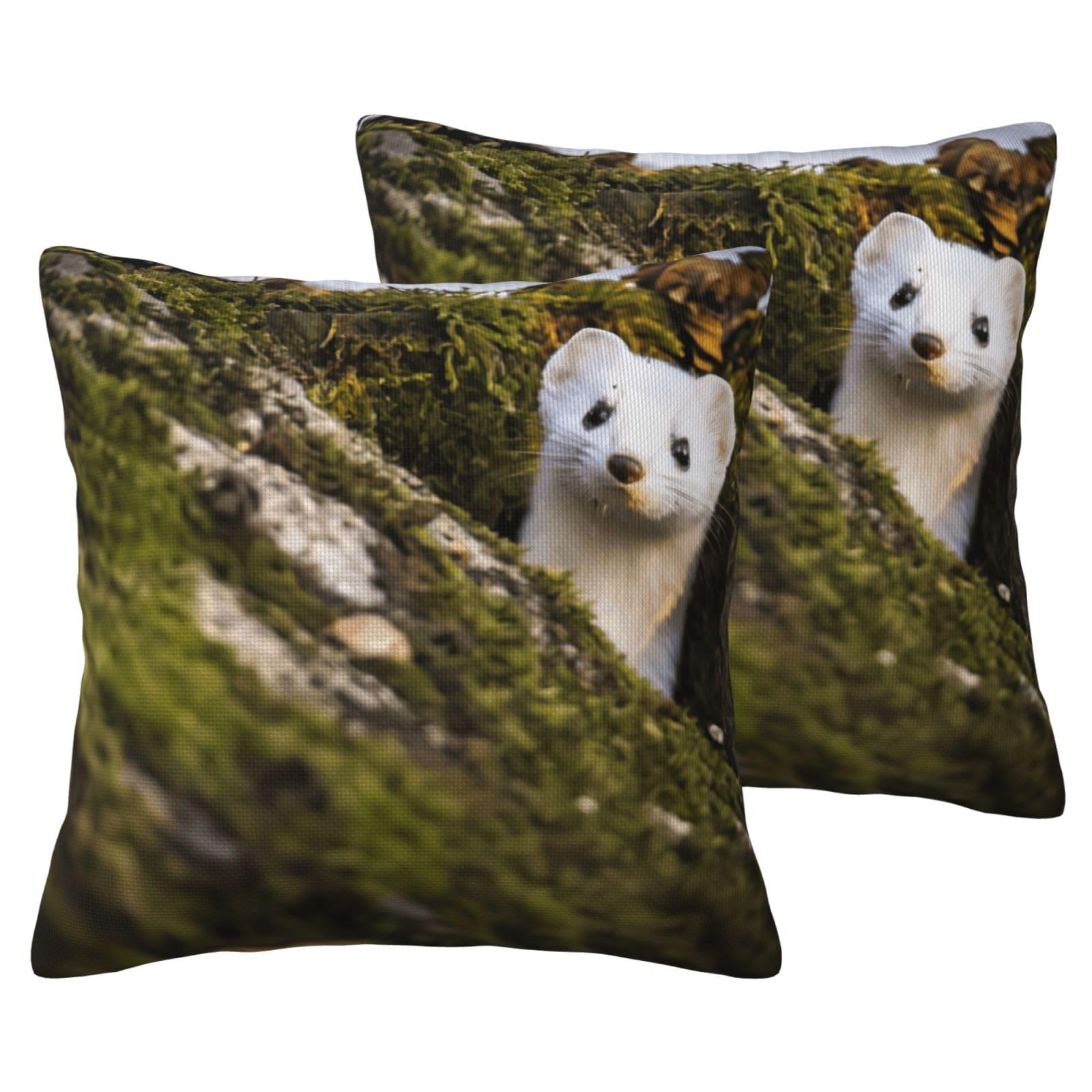 Housse de coussin belette EdWal lot de 2 pour canapé