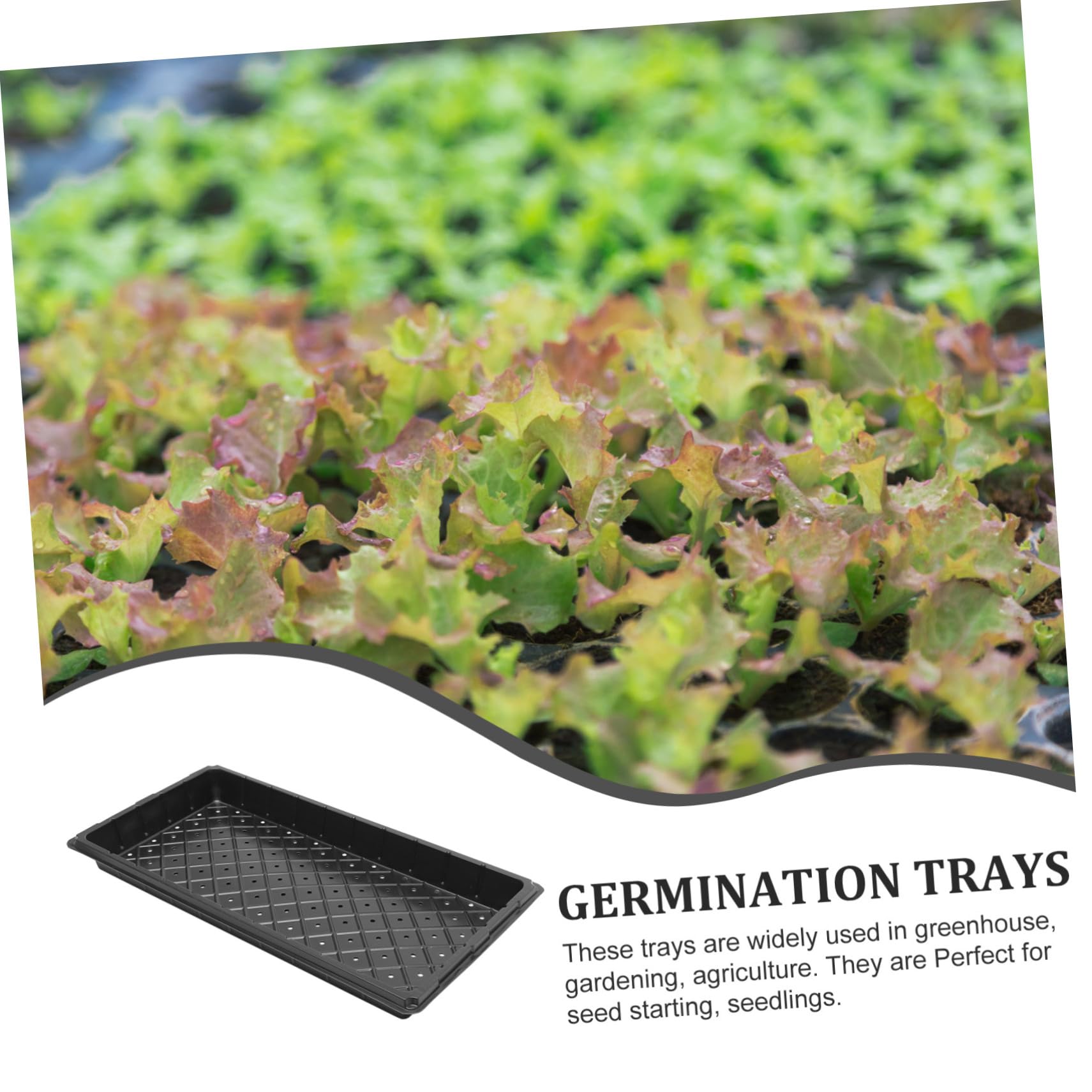BESPORTBLE Plateau de Semis de Germination 5 Pièces en Plastique Noir