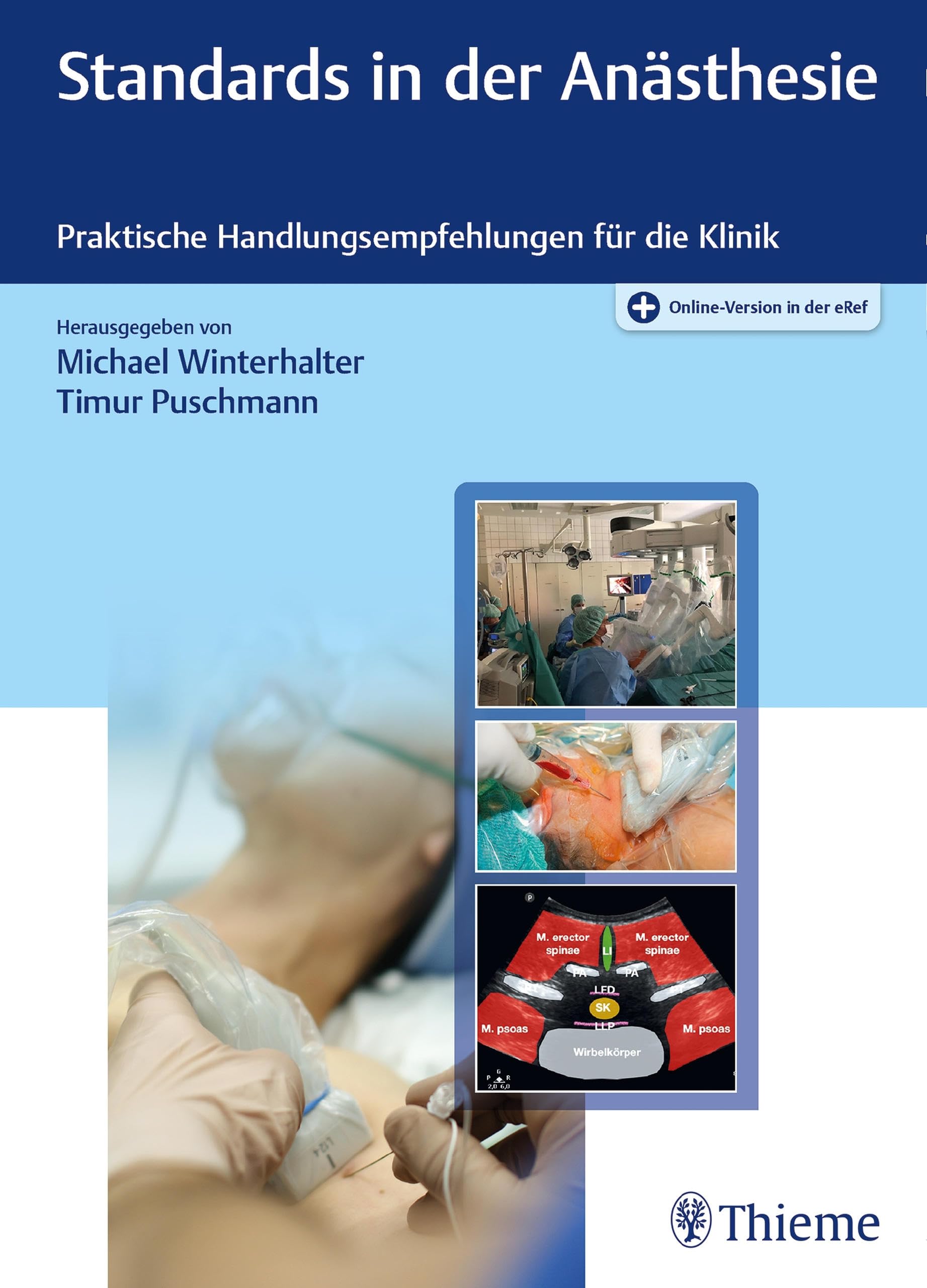 Standards in der Anästhesie: Praktische Handlungsempfehlungen für die Klinik