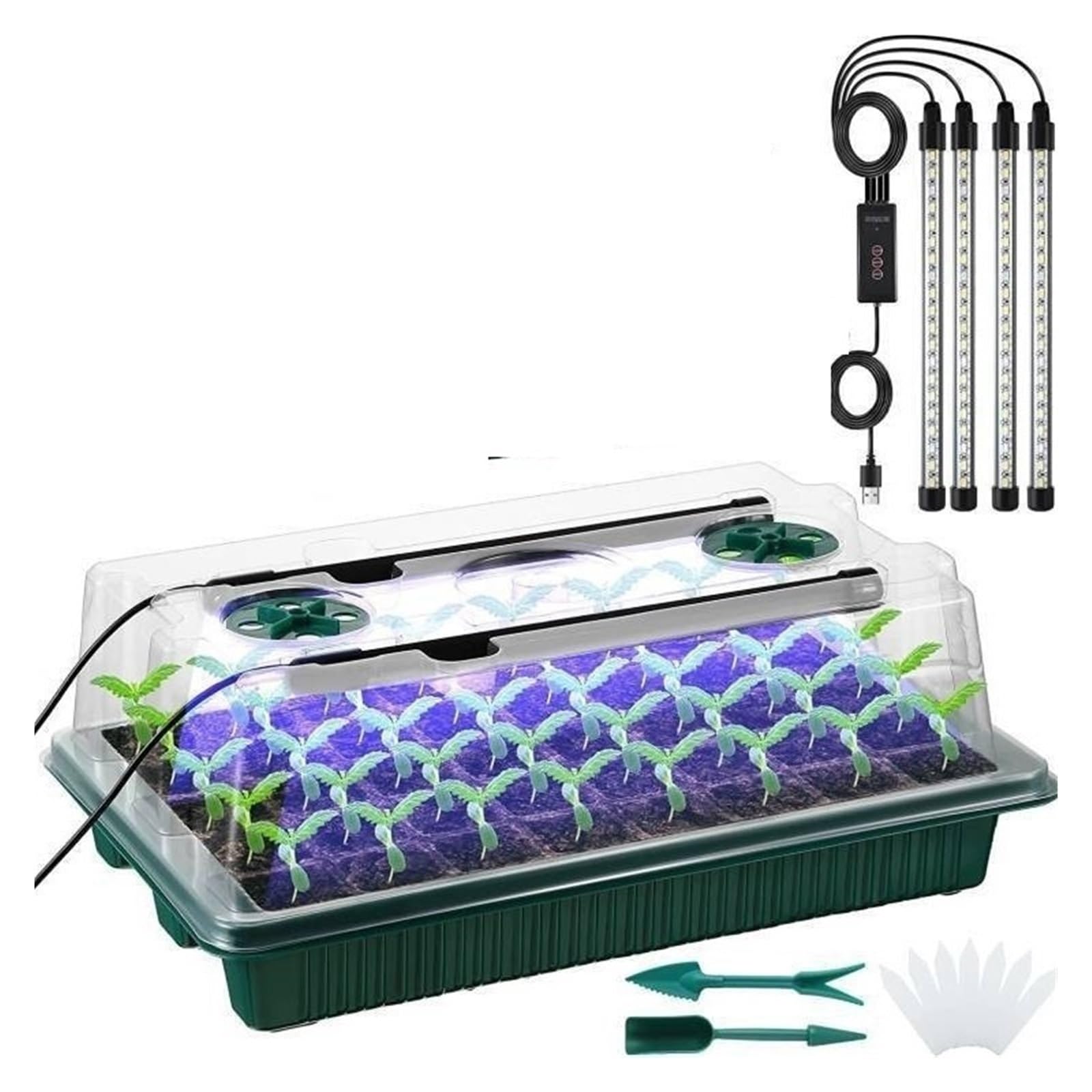 Grow Light, 2 paquetes de bandejas de inicio de semillas con kit de germinación de cúpula alta: 80 celdas, 4 luces LED de cultivo, temporizador inteligente y 3 modos for jardinería doméstica(Red blue