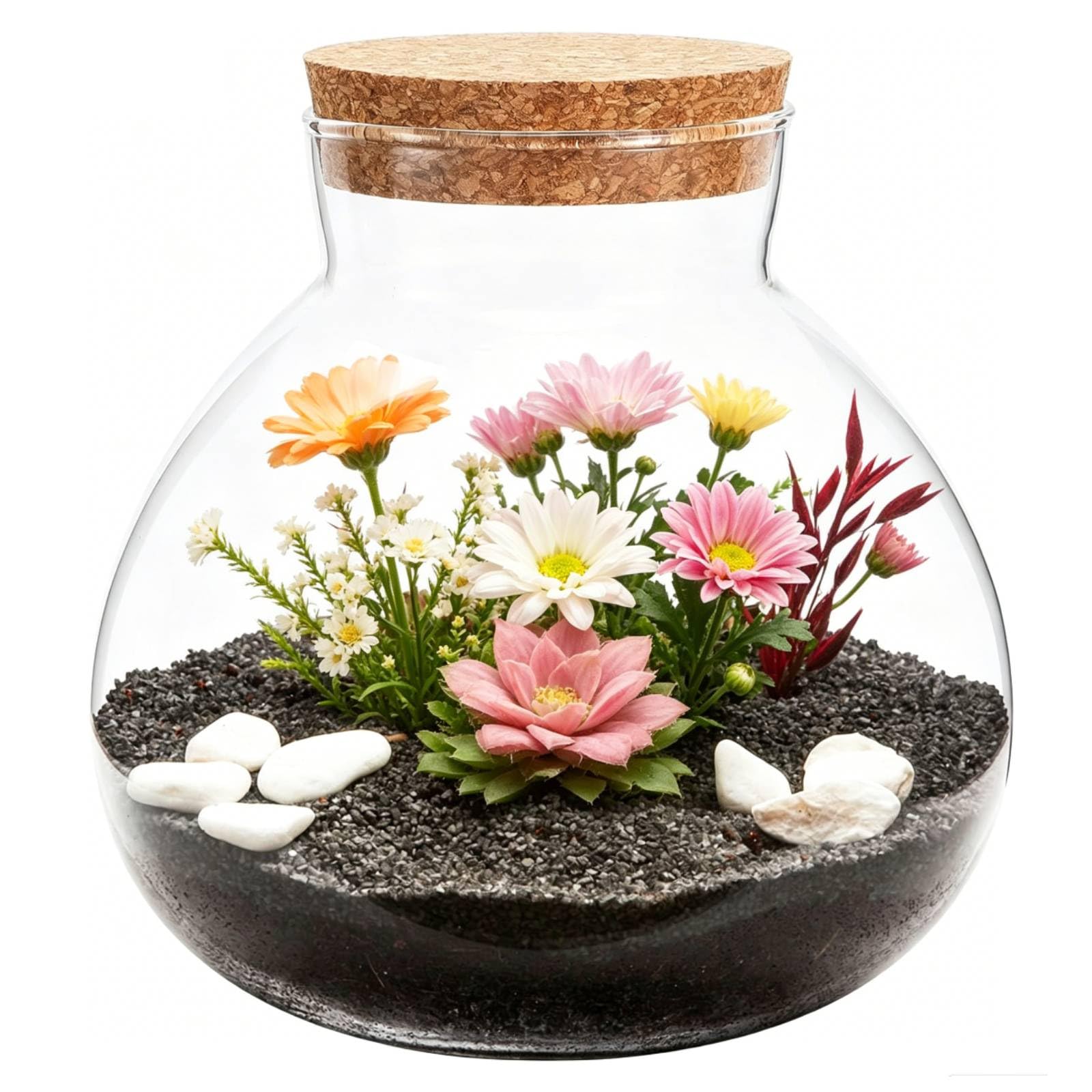 Milisten Terrarium en verre pour plantes, terrarium en liège - Vase en verre - Station de propagation des plantes pour la maison et le bureau - 15 x 16 cm