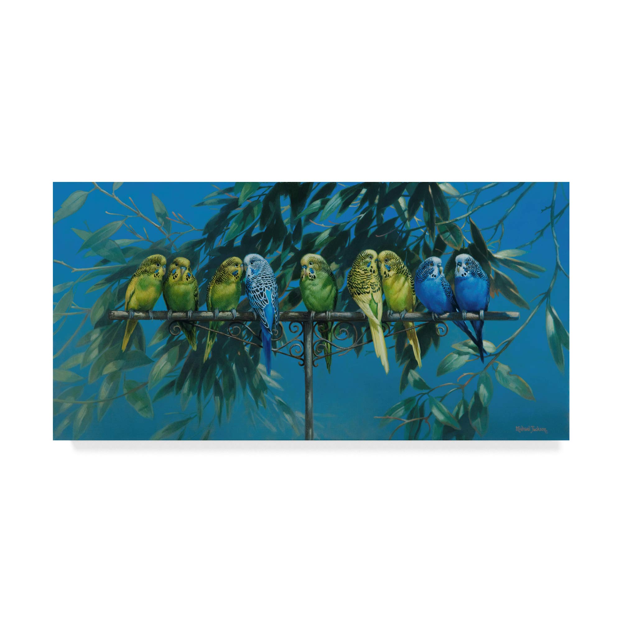 Trademark Fine Art Budgies by Michael Jackson 10x19-Inch