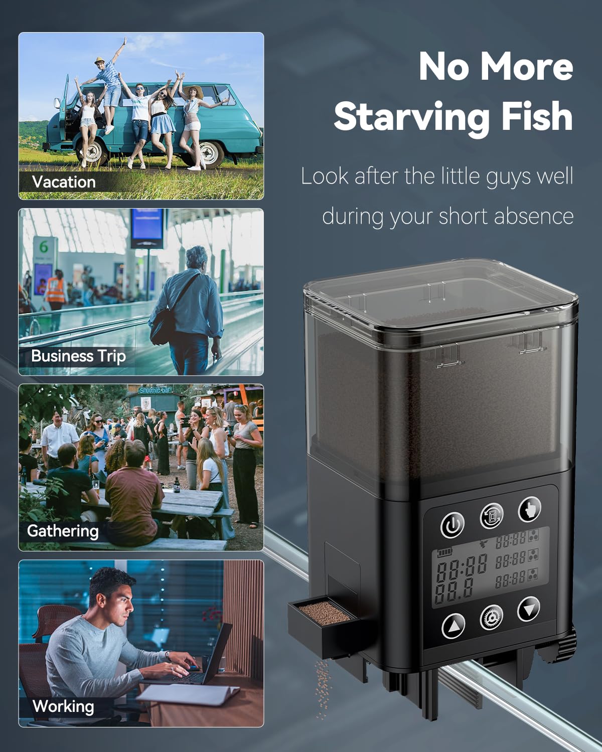 Pawfly Alimentatore automatico di pesci per acquario 320 ml con timer
