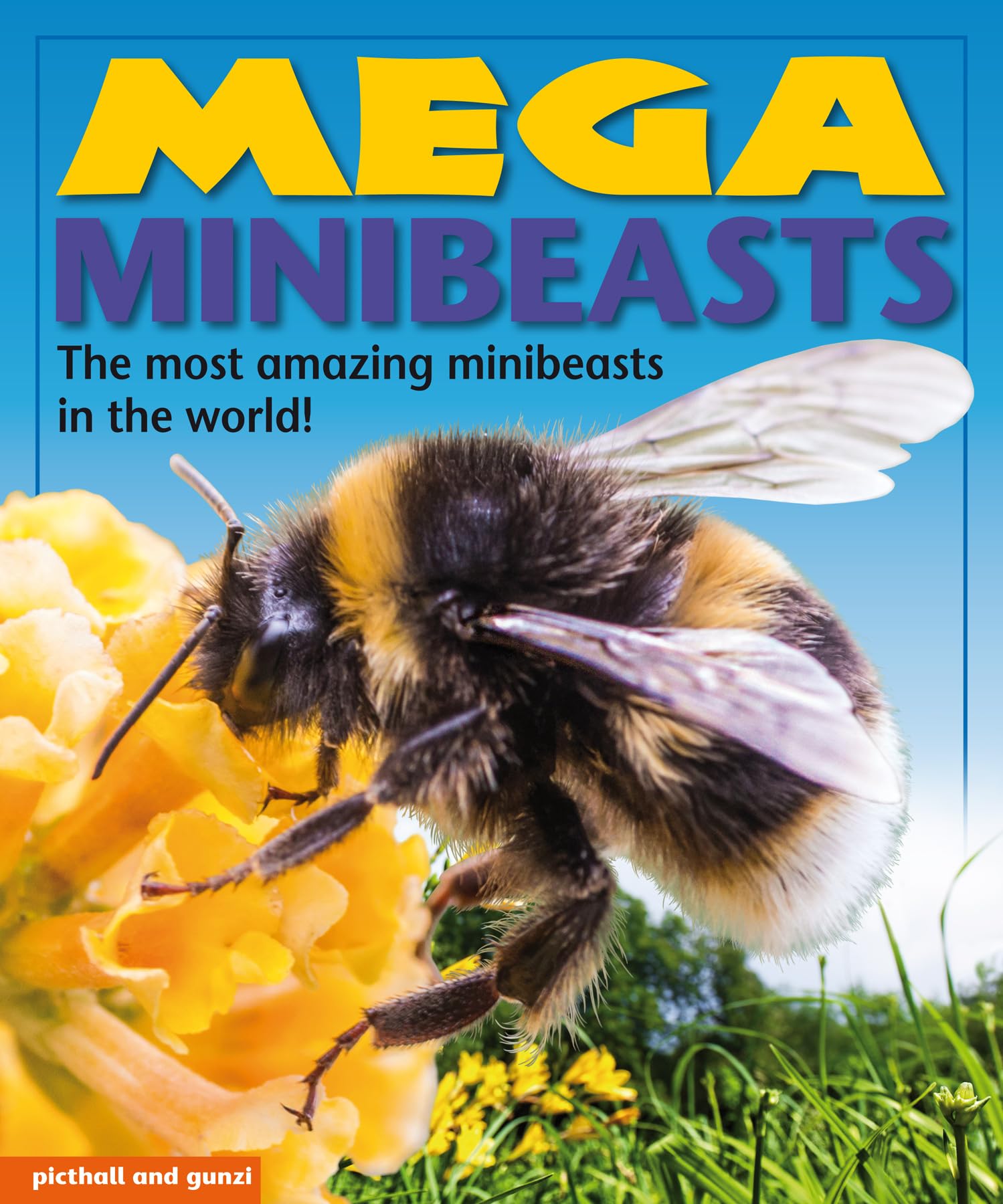 Mega Minibeasts by Nina Filipek (Paperback Book)