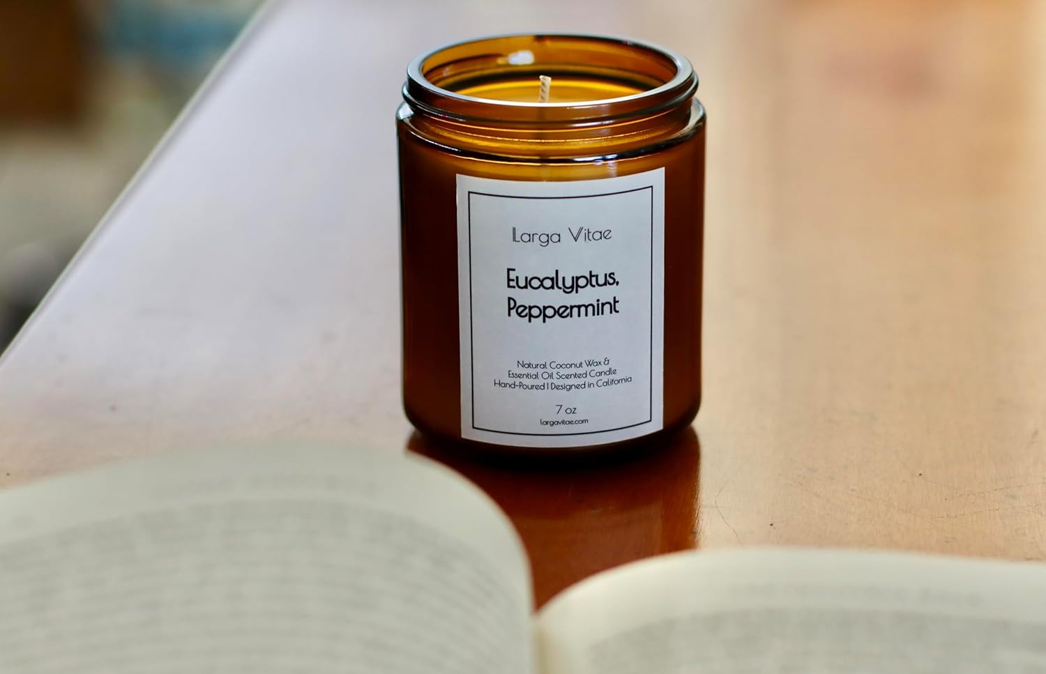 All-Natural Eucalyptus, Peppermint Aromatherapy Essential Oil Candle, Safe for People and Pets, Made with Pure Sustainable Organic Vegan Coconut Wax, Allergy Friendly, Non Toxic, Zero Waste - Image 3