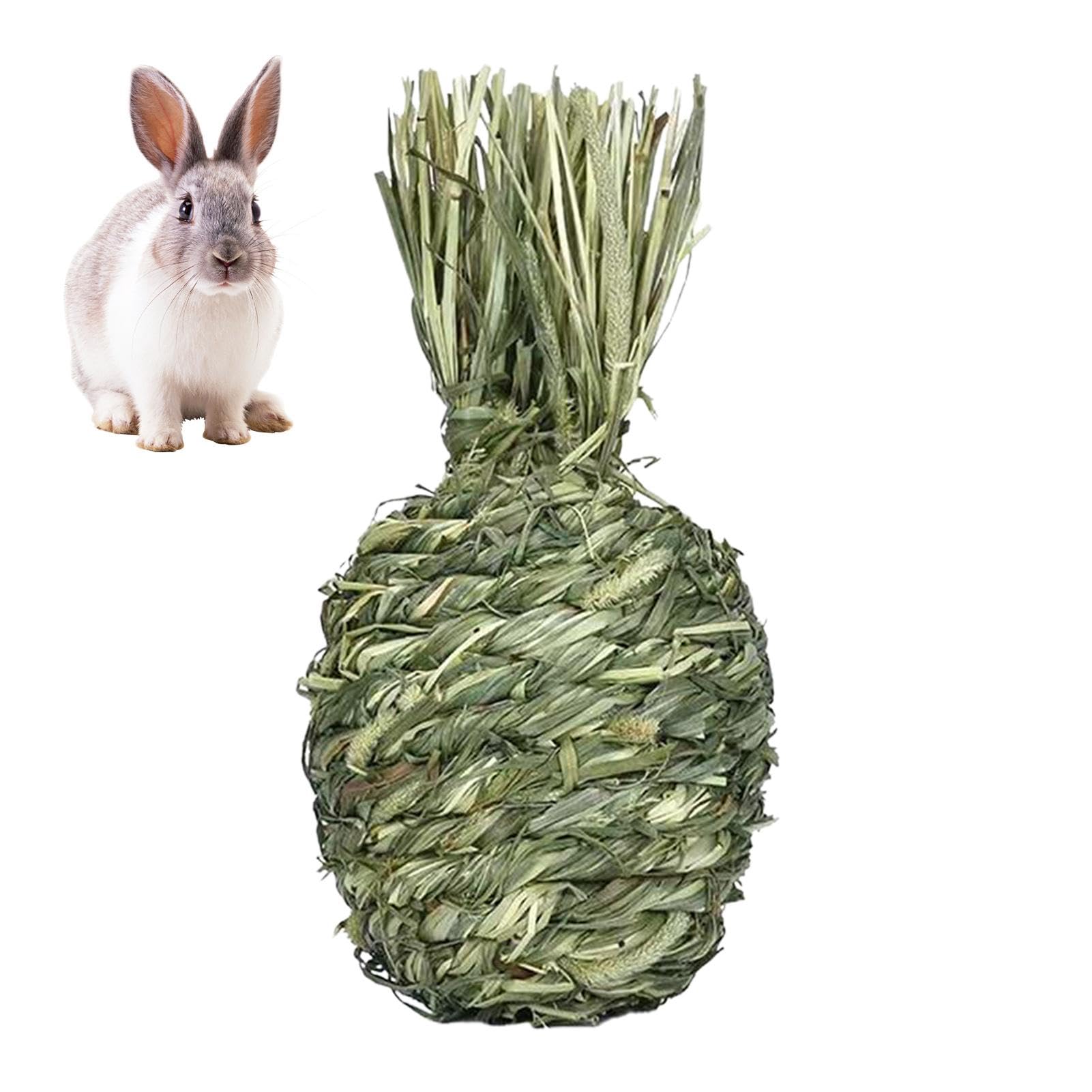 Djowyh Grass Ball Rabbit Ball Rabbit Toy, Toy for Guinea Pigs, Rabbit Dental Care Food, Suitable for Guinea Pigs, Rabbits, Chinchilla, Hamsters, Ren