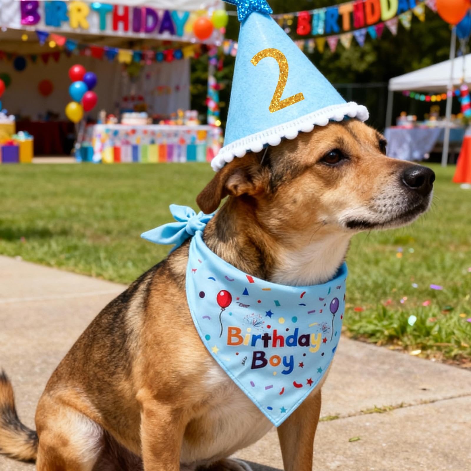 1 Set Decorazioni per Compleanno Cane, Bandana Cane, Sciarpa e Cappellino da Festa per Cani, Bavaglino per Cani per Compleanno, Accessori per Cappello di Compleannos (blu)