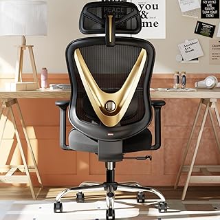 HOLLUDLE Office Chair Price In India
