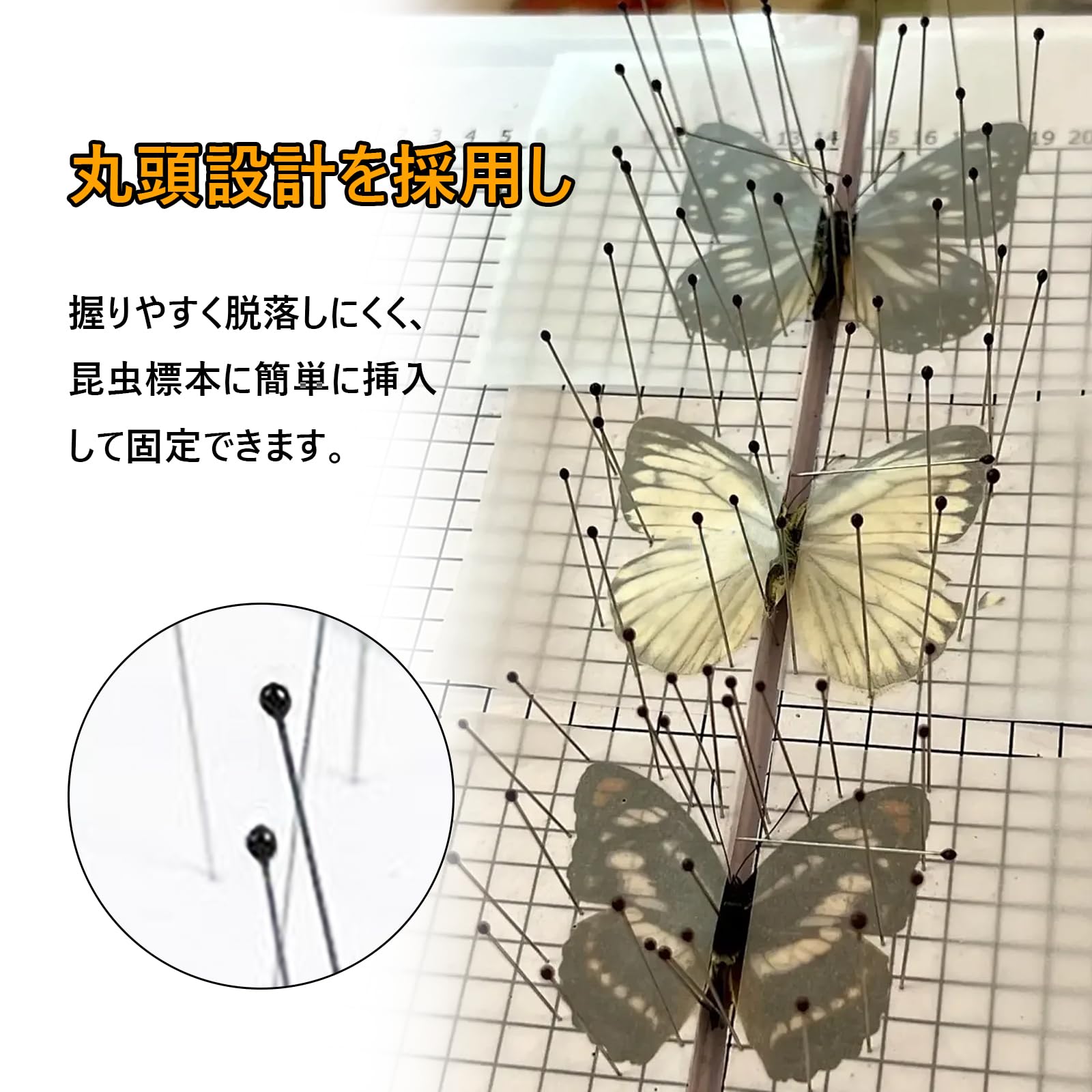 Amazon | Solxion 虫ピン 虫ピン 壁 標本用品 極細 昆虫標本針 メタル
