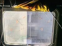 Review Image by Palens deyy12. Palens deyy12.