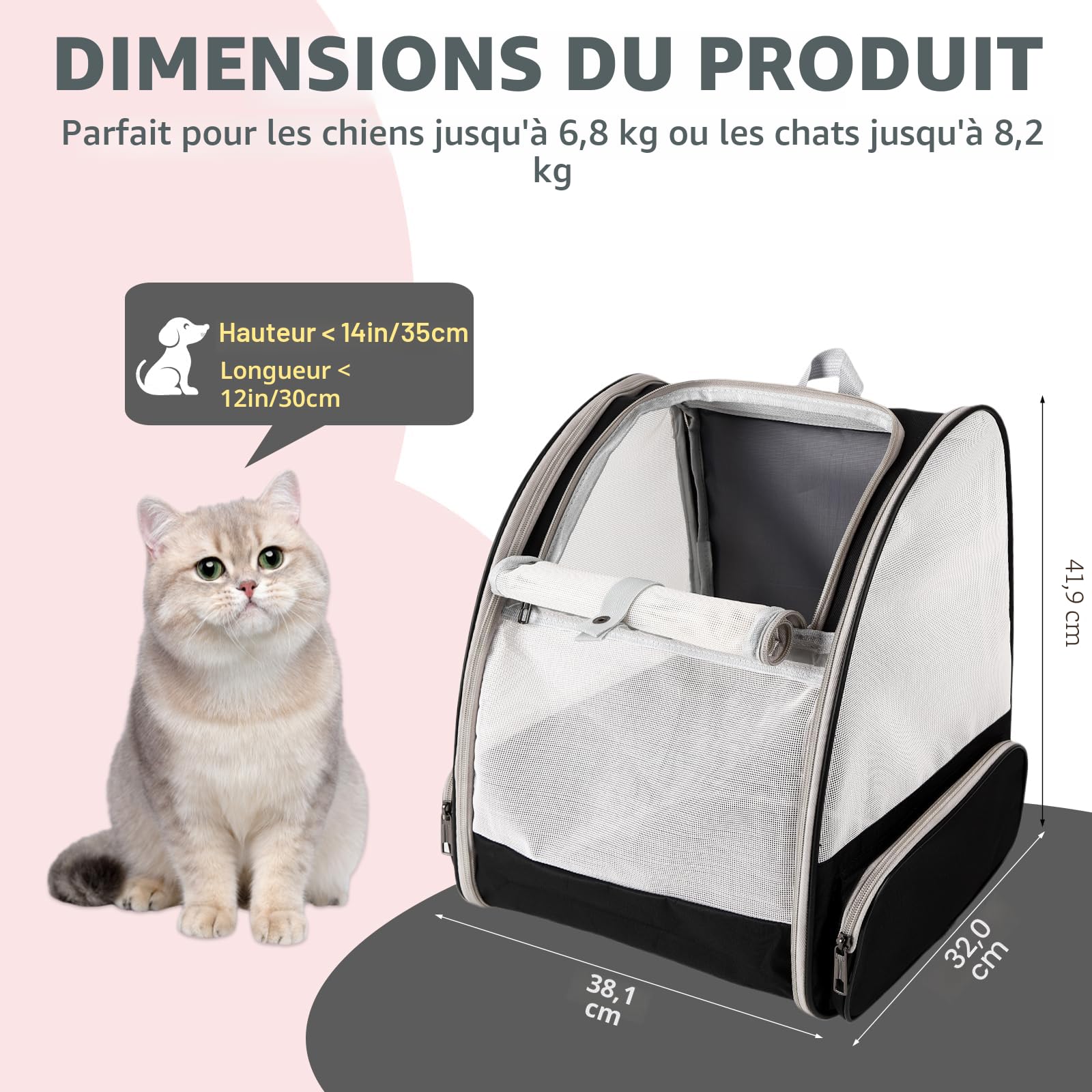 Sac à dos de transport pour chat, sac de transport pour animaux approuvé par les compagnies aériennes pour petit chien, chat, chiot, lapin, design en maille ventilée pour sac de randonnée, camping et