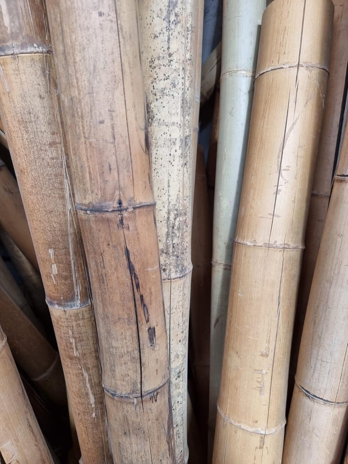Canna di Bambù Gigante MOSO (CM 200 Ø 7/11) – TERZA SCELTA - CON FESSURE - Canne di Bamboo Naturale Decorativo per Arredo Casa, Giardino, Recinzione, Fai-da-Te e Design Outdoor Indoor