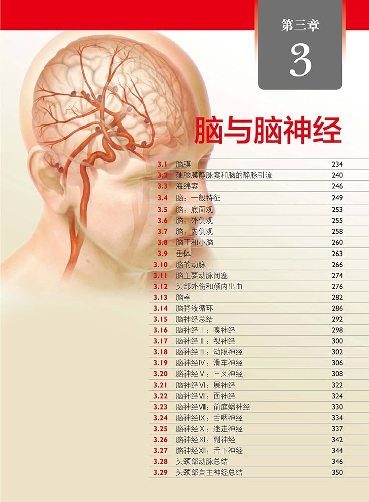 解剖学㊤㊦ Amazon.com: LWW解剖学精要图谱—头部和颈部（解剖学与影像学和