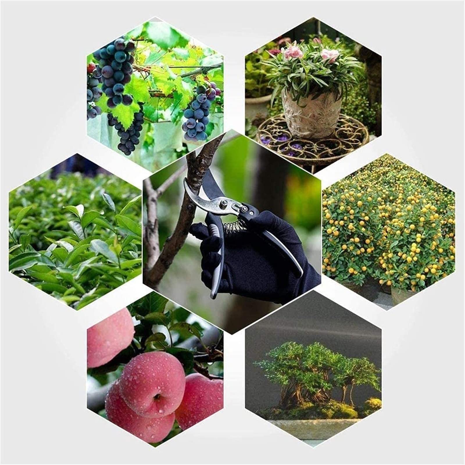 Gartenschere Baumschere Gartenschere Handschere Edelstahlklingen Professionelle Gartenschere mit Klinge und Verriegelung