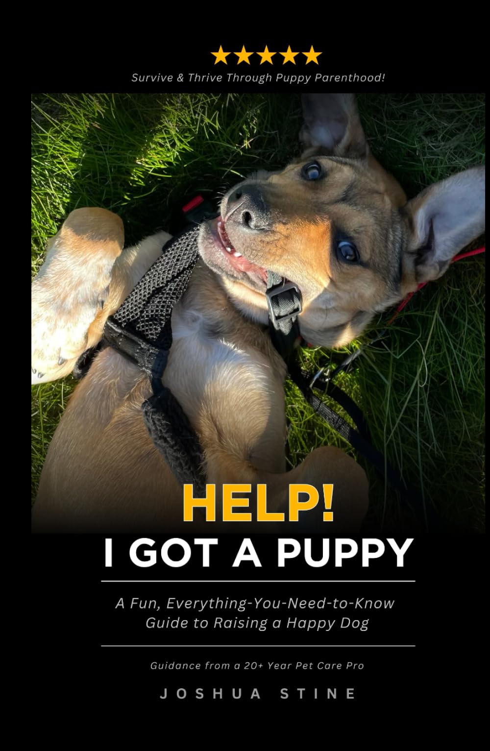 Help! I Got a Puppy: A Fun, Everything-You-Need-to-Know Guide to Raising a Happy Dog