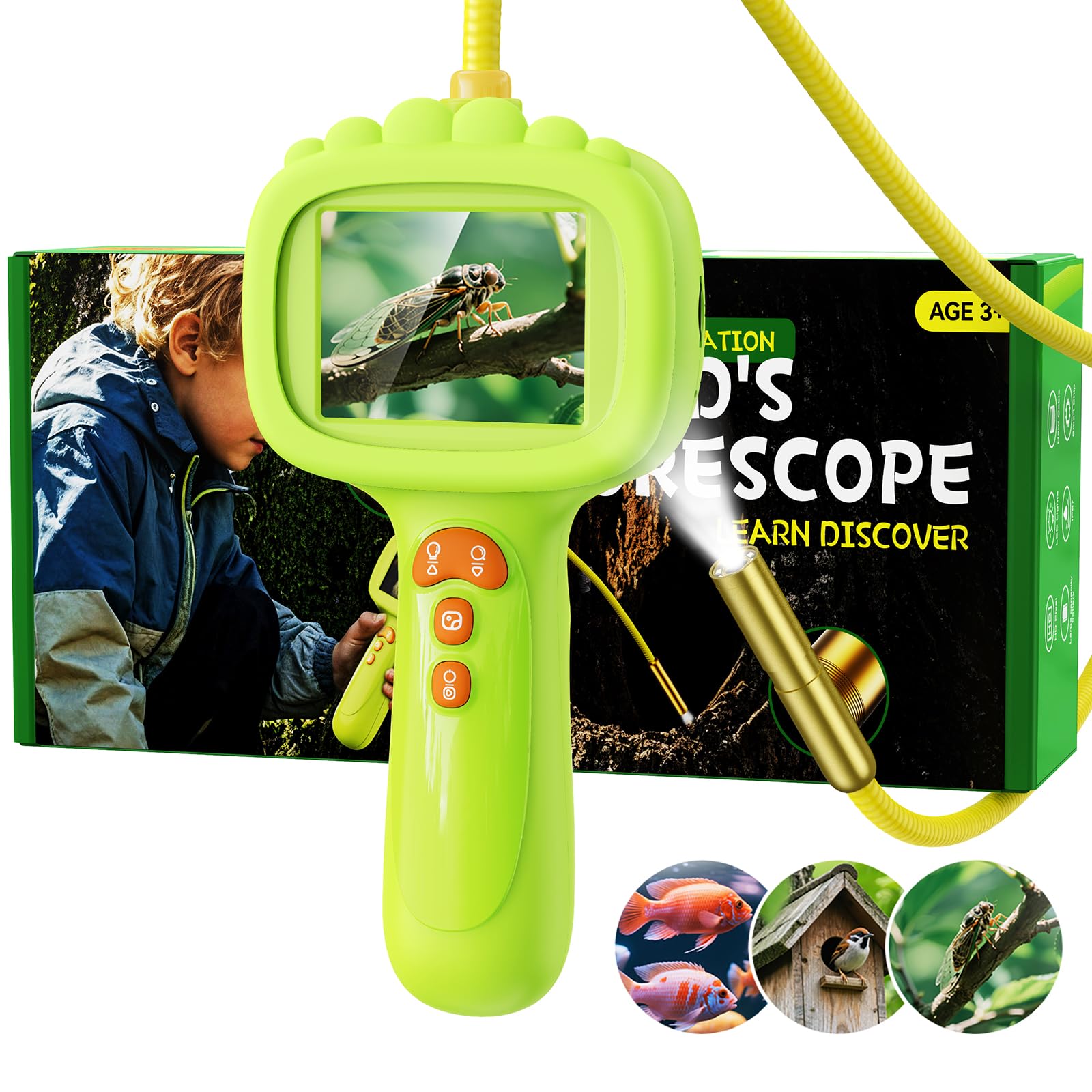 Endoskopkamera für Kinder, Ashfly 1080P Kinder Kamera, STEM Spielzeug für Outdoor Garten Camping Natur Entdecken, Geburtstagsgeschenk für 4 5 6 7 8 9 10 Jahre Jungen und Mädchen (Grün)