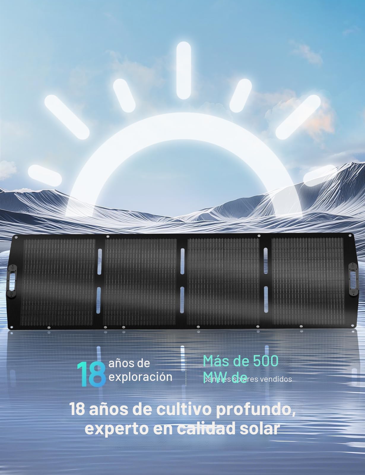 ECO-WORTHY Panel Solar Portatil 200W, XT60, Soporte de una sola pieza, ETFE, Silicio Monocristalino, Hasta 23% de eficiencia, Adecuado para la estación de energía, RV, camping, Garten
