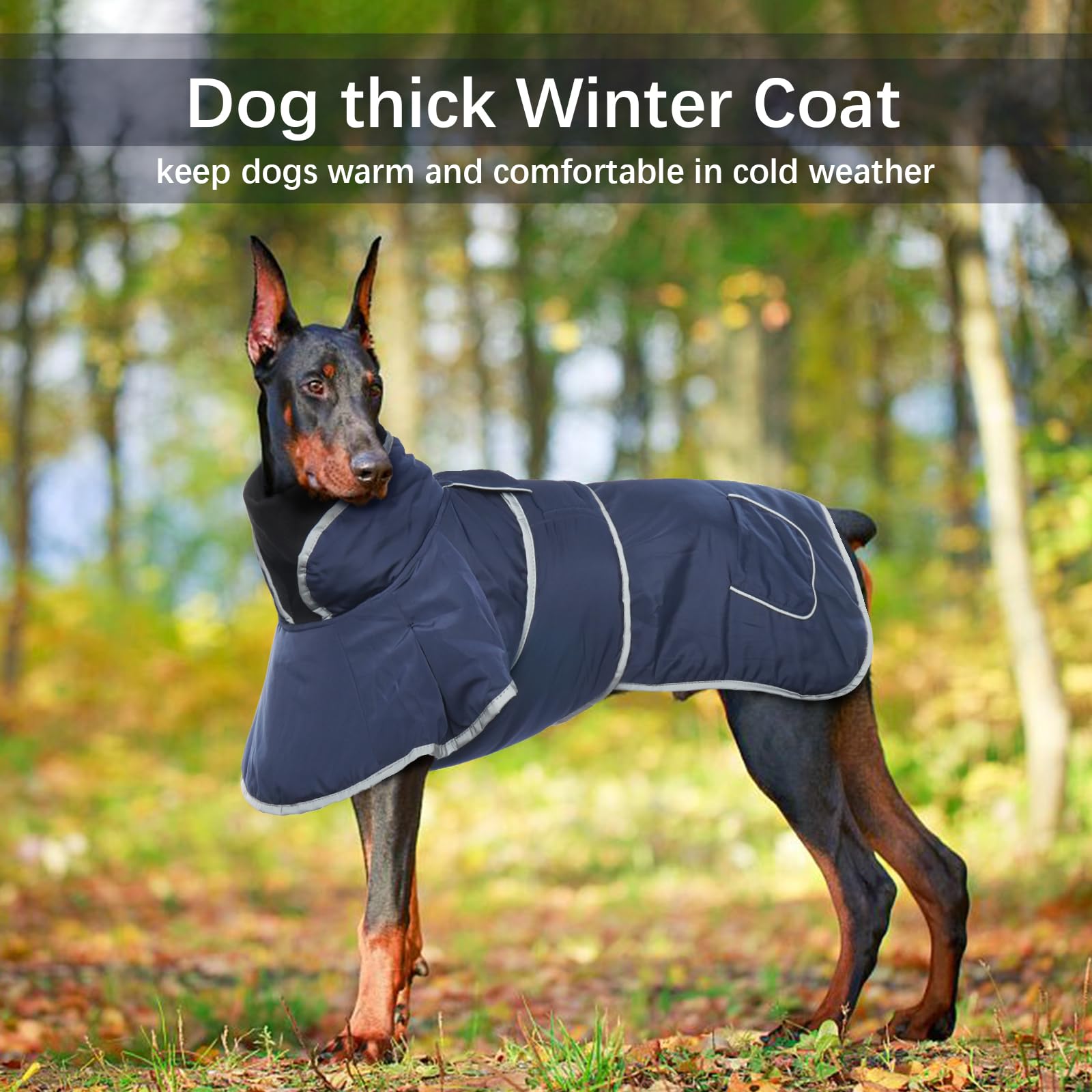 Samoyed Stand-up Collar Trench Coat｜ジャケット・アウター