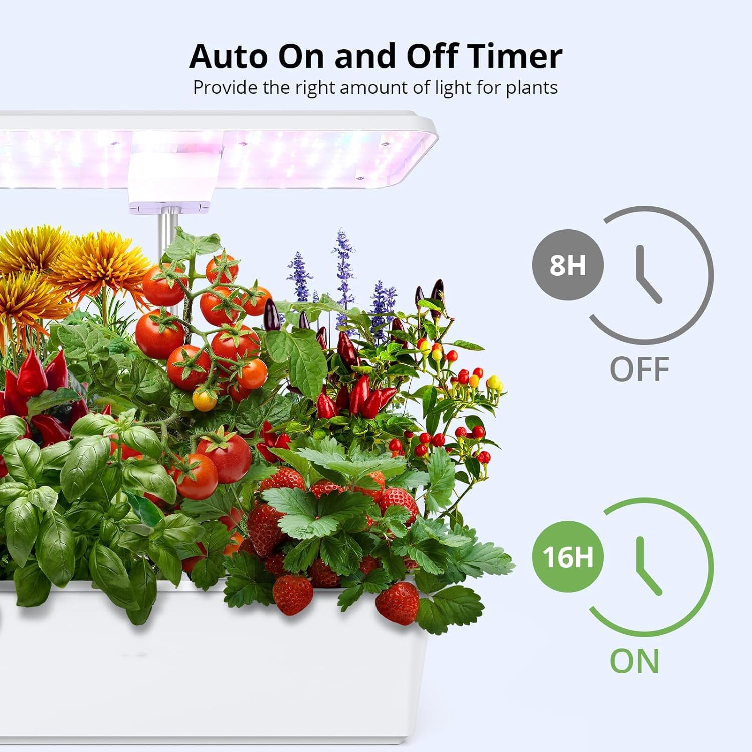 12 Pods Hydroponic System Grow Kit, Indoor Garden Hydroponic Growing System, 24 Inch Planting Height, Large 5L Tank, 5 Professional Plant Lights