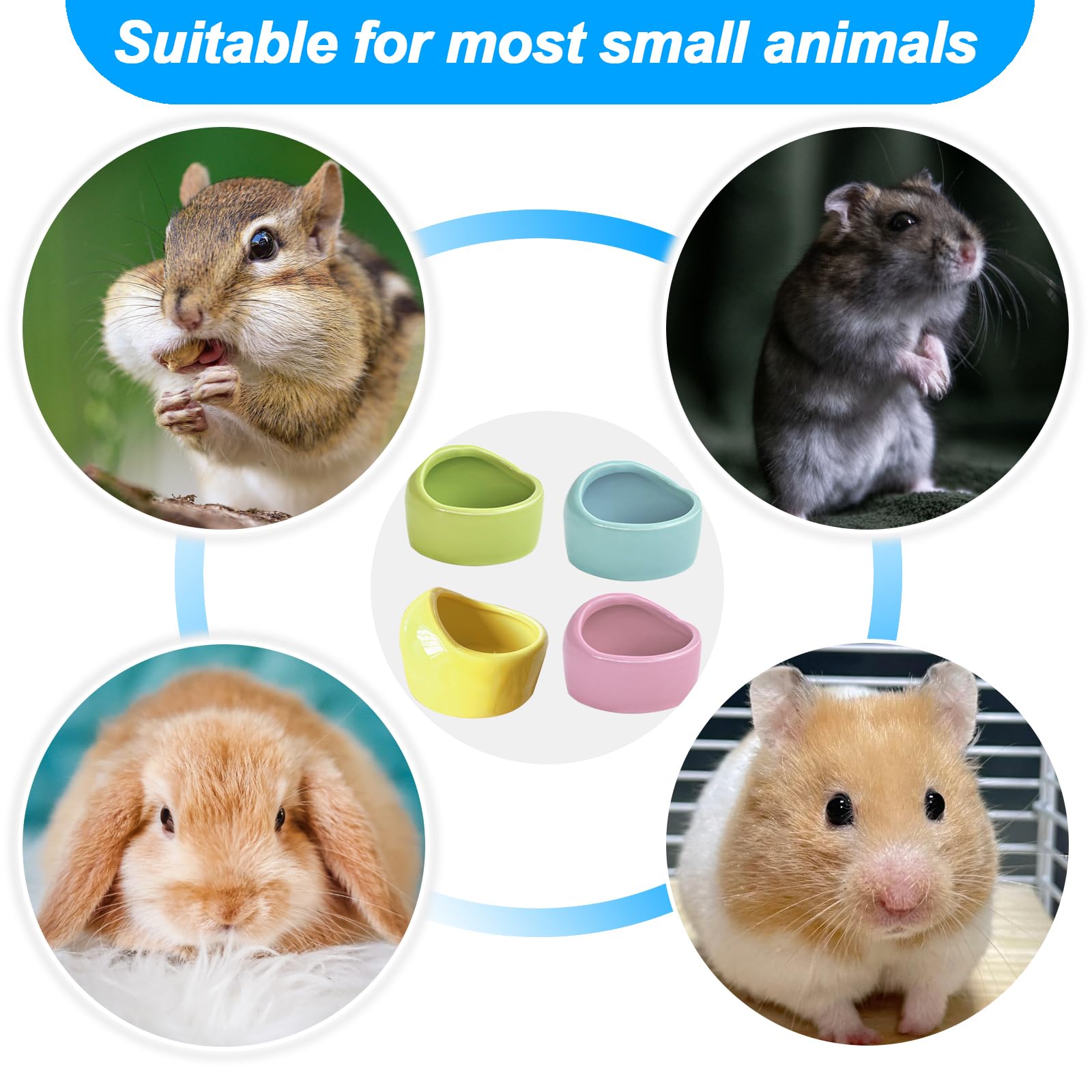 HOMURY Lot de 4 bols en céramique pour petits animaux - Gamelles anti-morsure pour hamsters et cochons d'Inde