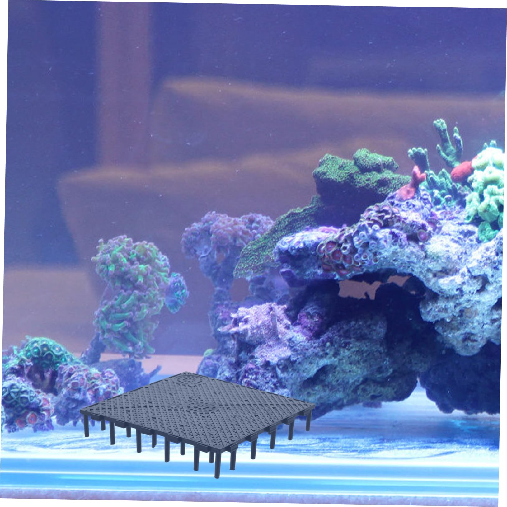 Kisangel Aquarium Bodenplatte PVC 10er Pack Unterkies Aquarium Zubehör Schwarz Fragging Ready