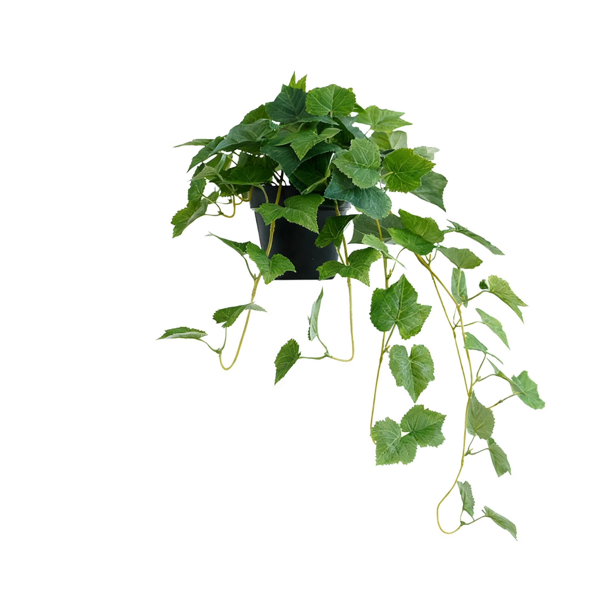 QUILSTM Ivy Plant Faux Pothos Plant Artificial Ivy 23660CM Tall 5CM Diameter Indoor Plants Fluffy Green Leaves Fake Pothos Black