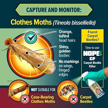 NOPE! Clothes Moth Traps | Odourless Non-Toxic Pheromone Sticky Trap | For Cupboards, Drawers & Clothes Storage Areas | Child & Pet Safe (6-pack)